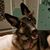 Jill Roberts Foster's profile image