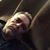 Tony Borzilleri's profile image