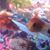 Gail Florek's profile image