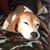 Amy Robinson's profile image