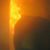 Shane Caron's profile image