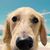 Mark G. Roth's profile image