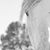 Ann Tatum's profile image