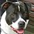 Brent Fitchett's profile image