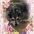 Marian Mager's profile image