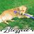 Mary Harwood's profile image