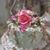 Sharon Barnes Oates's profile image