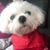 Tarik Beloved Badawi's profile image
