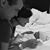 Sarah Harrison's profile image