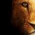 Da Lion's profile image