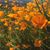 Terisa Brown Sienko's profile image