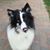 Barbara Moll's profile image