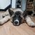 Kathleen Fieldman's profile image