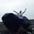 Joanna Lynn Haehnle's profile image
