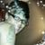 SaTara Raynor's profile image