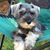 Maureen Lowery Elardo's profile image