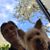 Bob Savino's profile image