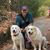 Robert Horton's profile image