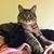 Alicia Yanow At Work's profile image