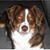 Billy Turbitt's profile image
