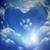 Rose Veltri Arnold's profile image