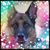 Alex Nessel's profile image