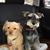 Jutta Donath's profile image