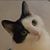 Jaime Puckett's profile image