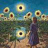 Amy B.'s profile image