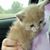 Wendy Buzzell-Matis's profile image