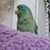Jackie Snyder's profile image