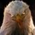 Patrick Krusniak's profile image