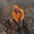 Gerick Fenner's profile image