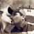 Christopher M Lopez's profile image