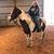 Glenna R Tompkins's profile image