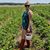 Stephanie Sigrist's profile image
