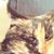 Ruth Gilbert's profile image