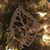 Laura Young's profile image