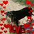 AnKa Ka's profile image