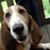 Jennifer Horaz's profile image
