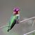 Barbara Haas's profile image