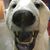 Eric Degner's profile image