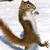 Bobbi Baker's profile image