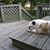 Colleen Brown's profile image