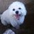Cathi Schenk Webb's profile image