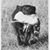 Kim Stahl's profile image