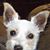 Carol Trego's profile image