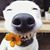 Liz Sprague's profile image