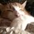 David Martin's profile image