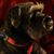 Brenda Garnick's profile image